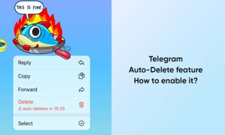 Telegram Auto-Delete feature