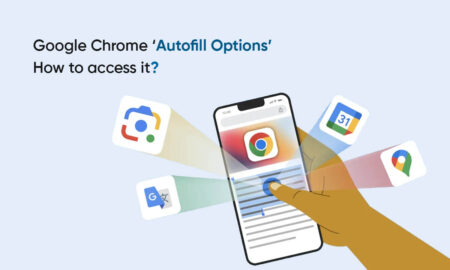 Google Chrome Autofill options feature