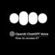 OpenAI ChatGPT Voice feature