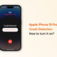 Apple iPhone 15 Pro Crash Detection feature