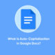 Google Docs auto-capitalization feature