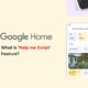 Google Home app Help me script feature