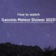 Watch Leonids Meteor Shower 2023