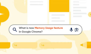 Google Chrome Memory Usage feature
