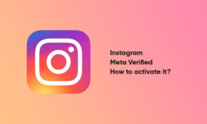 Instagram Meta Verified feature