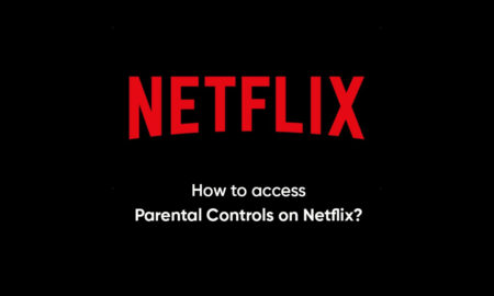Netflix Parental Controls access