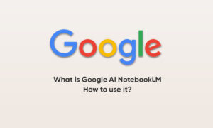 Google AI Notebook