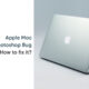 Apple Mac Adobe Photoshop bug fix