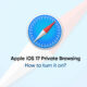 Apple iOS 17 Private Browsing feature