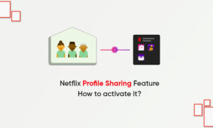 Netflix Profile Sharing feature