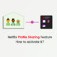 Netflix Profile Sharing feature