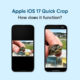 Apple iOS 17 Quick Crop feature