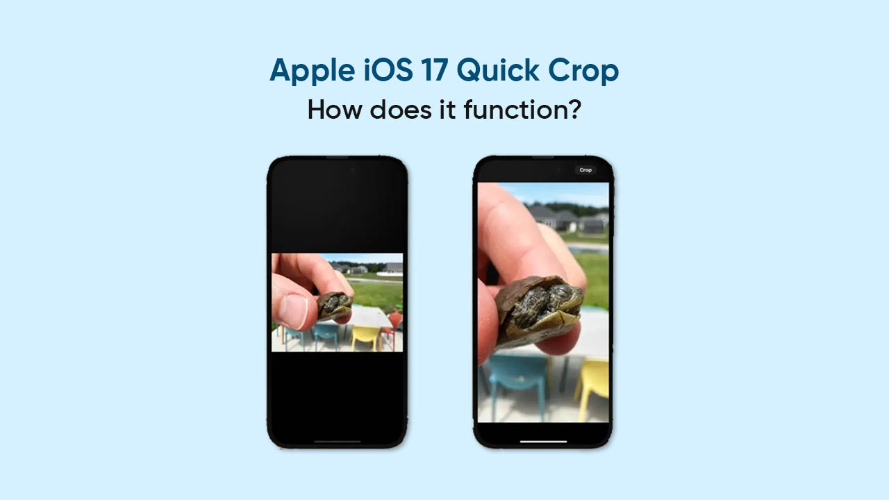 Apple iOS 17 Quick Crop feature