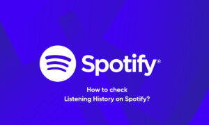 Spotify listening history check
