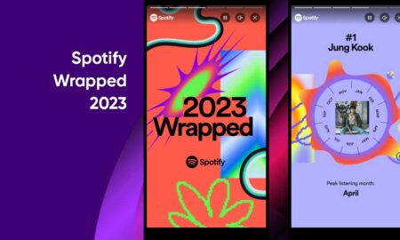 Spotify Wrapped 2023 feature