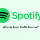 Spotify Taste Profile feature