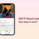 Apple iOS 17 Visual Lookup feature