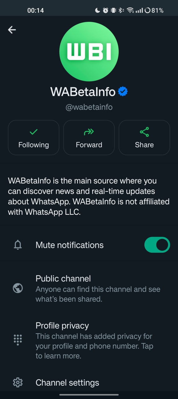 WhatsApp Channel Username feature