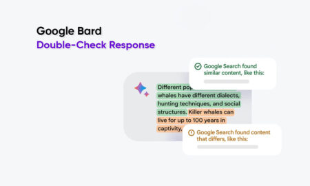 Google Bard Double Check response