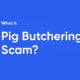 Pig butchering scam protect