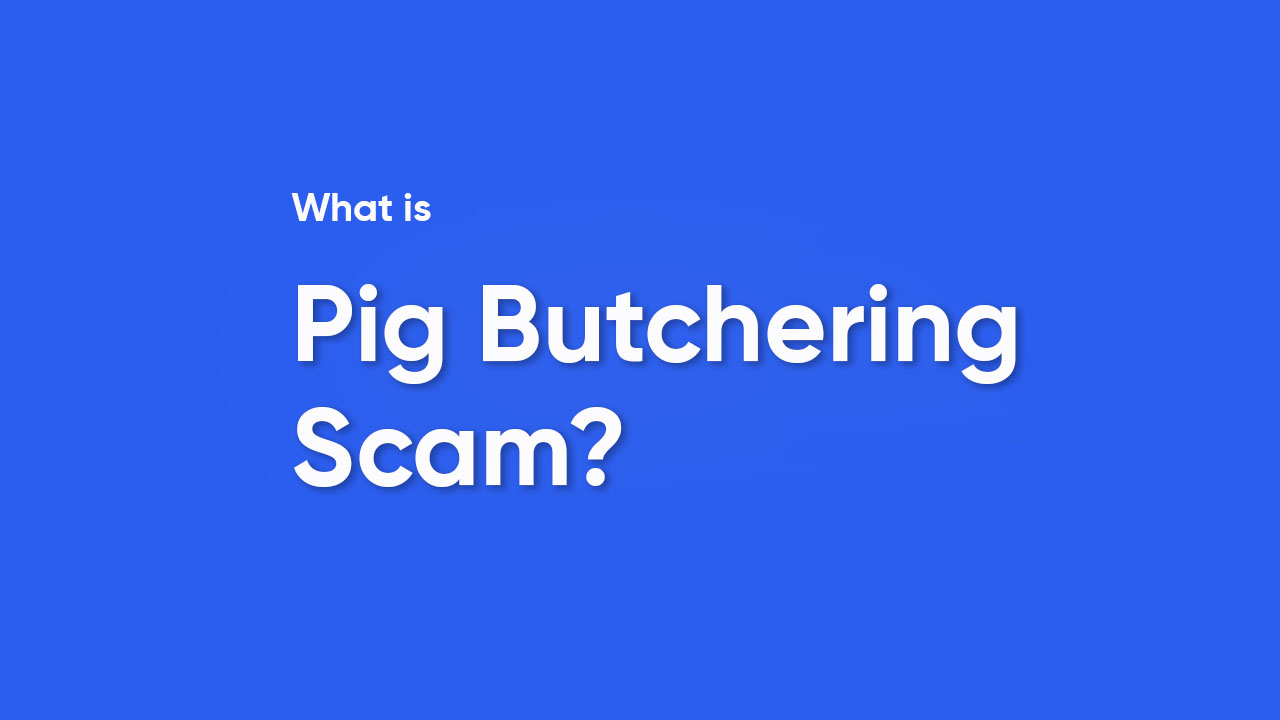 Pig butchering scam protect